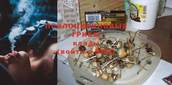 амф Арсеньев