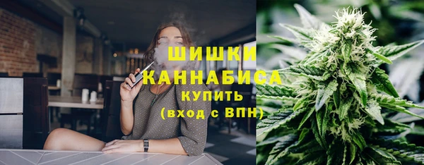 амф Арсеньев